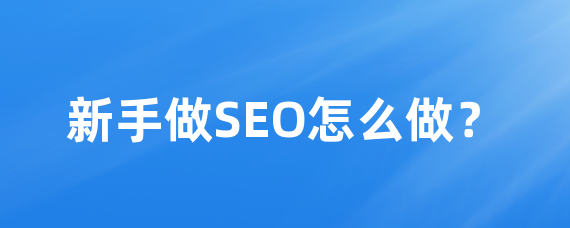 新手做SEO怎么做？